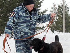 В Центре кинологической службы УМВД России по Архангельской области — пополнение