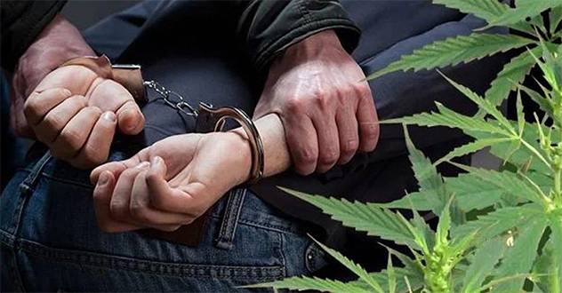 Житель г. Северодвинска подозревается в совершении  наркопреступления