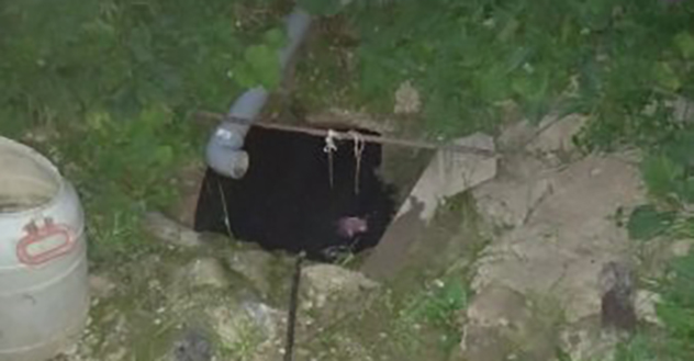 В Плесецком округе мать утонувшего в выгребной яме ребенка идет под суд