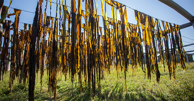 В законную силу вступил приговор суда по уголовному делу об убийстве на одном из островов Соловецкого архипелага