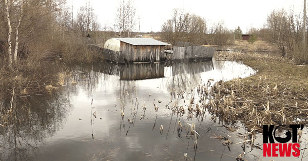 А на Шанхае вода прибывает