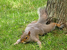 Кампусу быть! Причина отставки Елены Кудряшовой