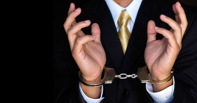 Собственник ООО «Вельская птицефабрика» сядет за похищение более 4 млрд рублей