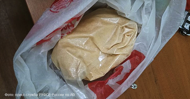 Двое уроженцев Коношского района пытались организовать канал сбыта наркотических средств в особо крупном размере