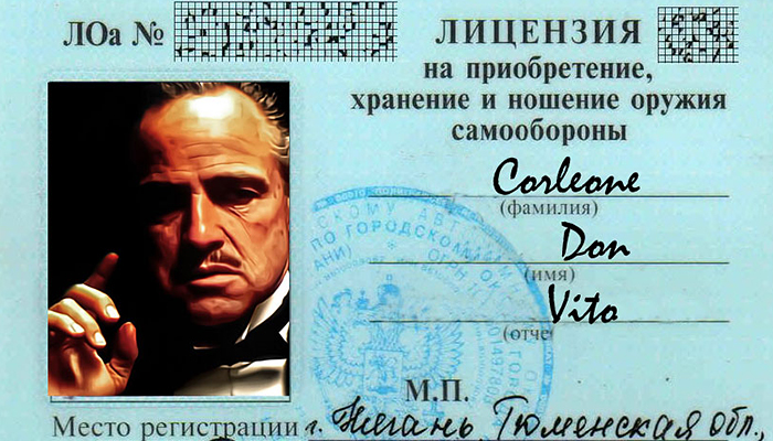 Ездишь пьяным, забудь о работе охранником и о покупке ружья для охоты