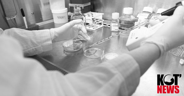 Тесты на алкоголь и наркотики у водителей пока проводить не будут