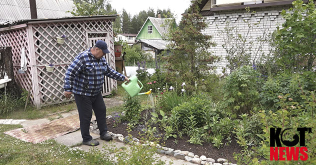 Причина низкой явки на голосование по Конституции - недостаток информации