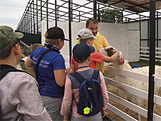 Частный зоопарк в Котласе закрыт по экономическим соображениям