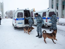 Архангельск «атакуют»?