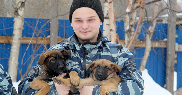 В Центре кинологической службы УМВД России по Архангельской области — пополнение