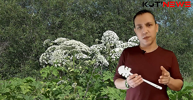 Антоново - территория социального отрицания