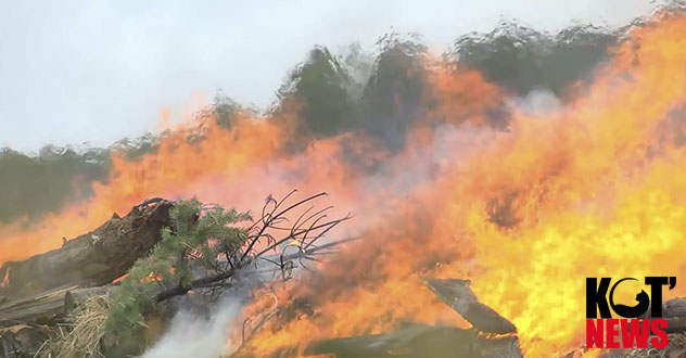 С 1 мая в регионе открыт пожароопасный сезон: главное, без креатива