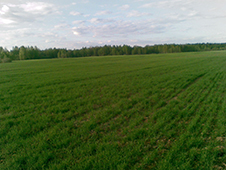 На 219,9 га земель сельскохозяйственного назначения оформлено право  муниципальной собственности