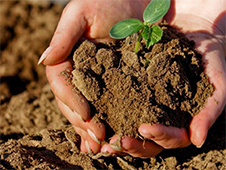 Результаты исковой работы прокуратуры Архангельской области в сфере землепользования