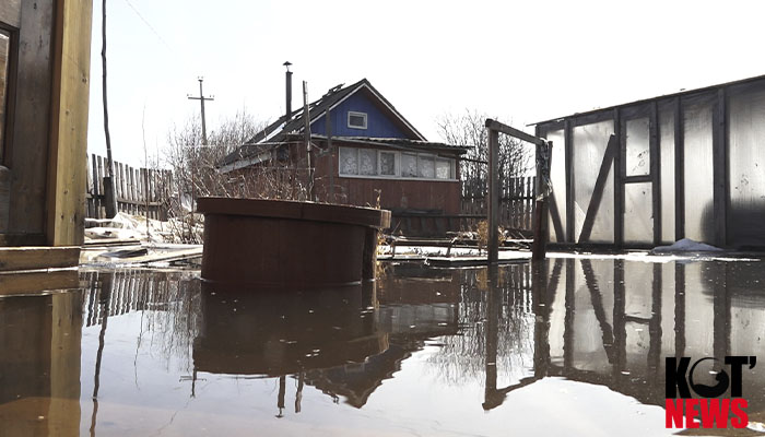 Мы просим власти разобраться