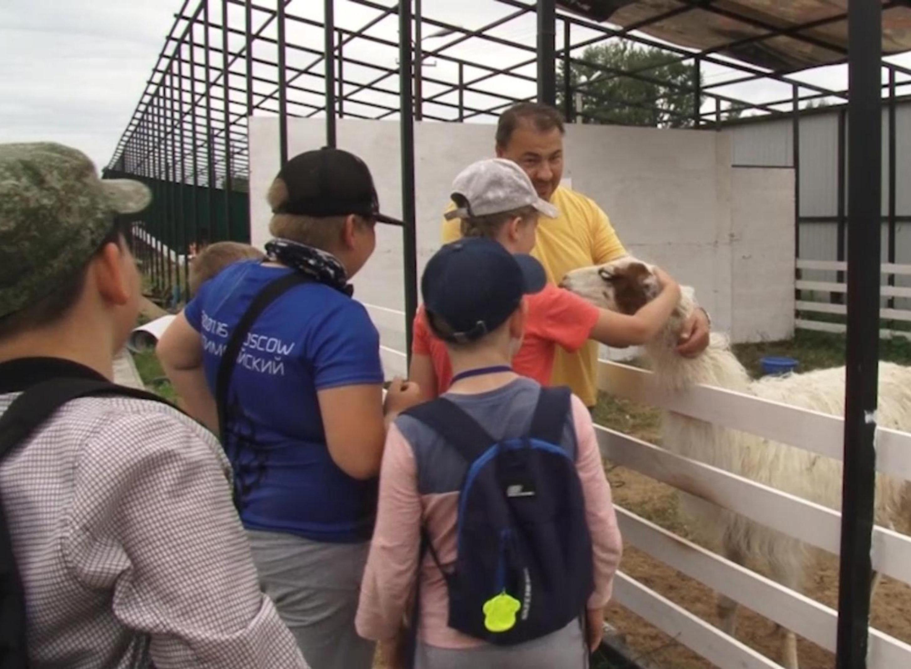 Частный зоопарк в Котласе закрыт по экономическим соображениям