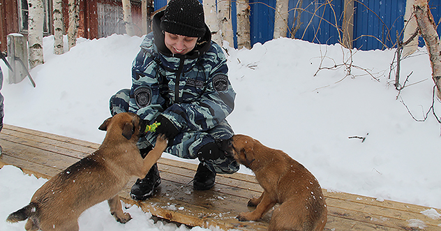 В Центре кинологической службы УМВД России по Архангельской области — пополнение