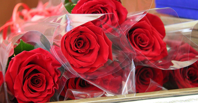 Начальник УМВД России по Архангельской области поздравил с днем службы сотрудников сразу нескольких подразделений