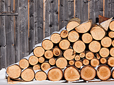 Выявлены нарушения в пунктах складирования древесины