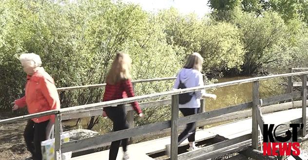 Прокуратура обязала службу благоустройства отремонтировать мост на БПК