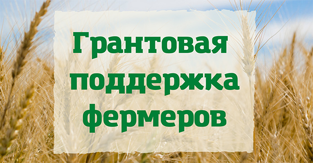 Вынесен приговор о мошенничестве с денежными средствами, выделенных в качестве грантов