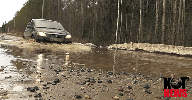 ИП Махин: дачные автобусы на Вершину не пойдут