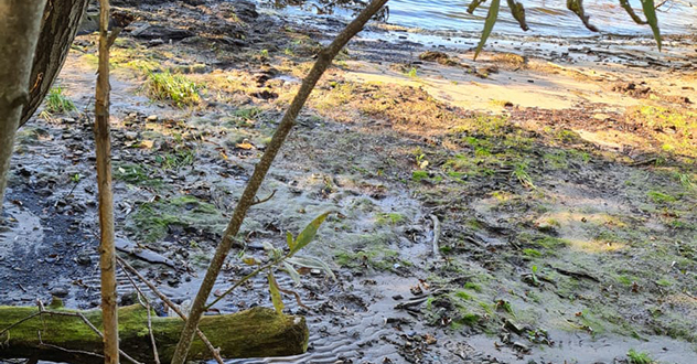 В Архангельске проведена проверка сбрасываемых вод в Северную Двину