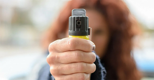 В Холмогорском районе 39-летняя местная жительница осуждена за применение насилия к сотрудникам полиции