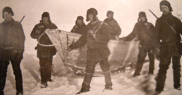 Тюлень и Мезень