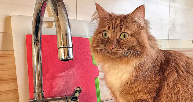 Последняя капля для бунта? В Котласе - жуткие проблемы с водоснабжением