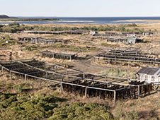 Убийство на соловках