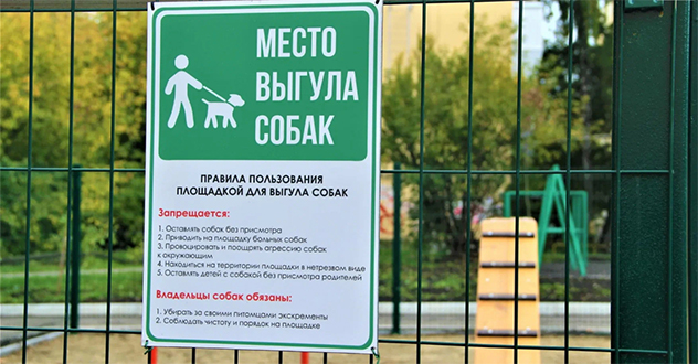 Котласскую администрацию обязали обустроить места для выгула животных