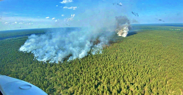 Лесные пожары в Архангельской области