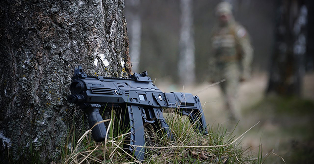 Житель г. Северодвинска предстанет перед судом за хулиганство с применением предмета, используемого в качестве оружия