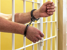 Житель областного центра осужден за незаконное выращивание конопли