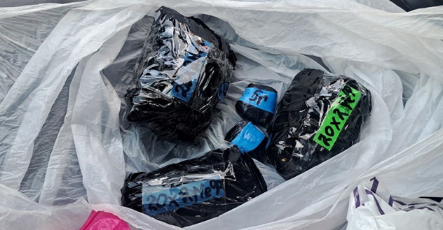 В Архангельске стражами порядка задержаны подозреваемые в покушении на незаконный сбыт наркотических средств