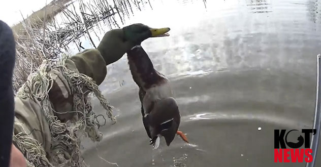 С 1 мая начинаются весенняя охота и рейды на охотников-нарушителей