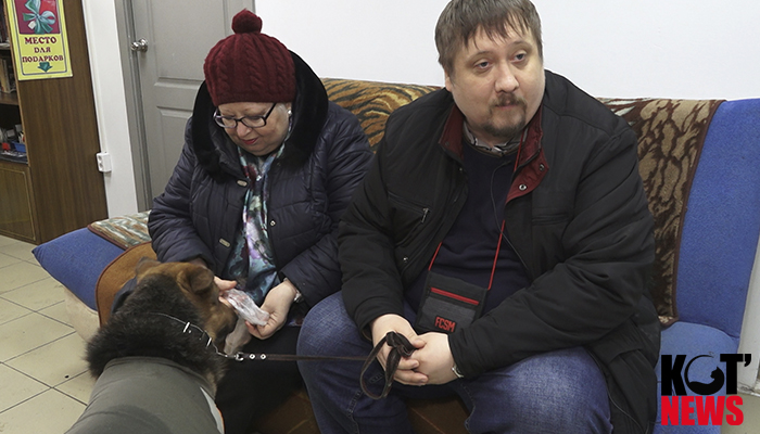 В опеке нуждаются не только люди, но и животные