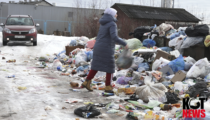 Посёлок Шипицыно погряз в мусорных завалах