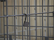 О состоянии преступности в Архангельской области в 2023 году