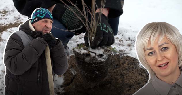 Новый тренд Котласа: благодаря новой власти в городе появляются зимние сады