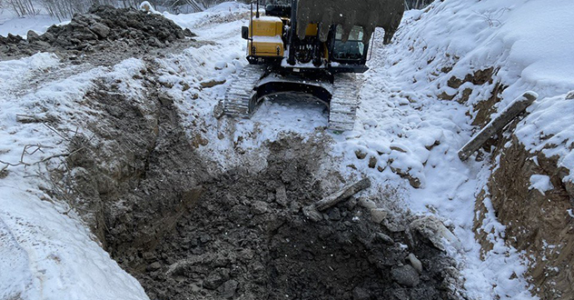 Шипицыно на контроле