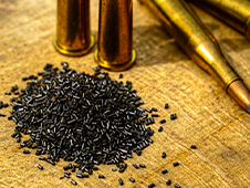 В Пинеге вынесен приговор 43-летнему жителю за незаконное приобретение и хранение пороха