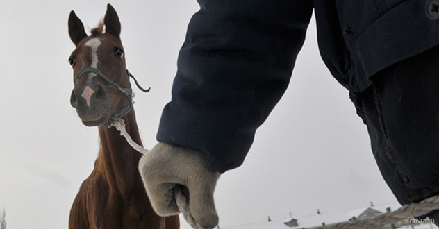 Цыгане 21 века?