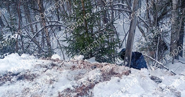 Служебная собака Росгвардии помогла обнаружить схрон с тротилом в Архангельской области