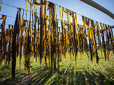 В законную силу вступил приговор суда по уголовному делу об убийстве на одном из островов Соловецкого архипелага