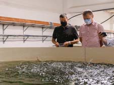 Наука и бизнес в России объединяют возможности, чтобы повысить стабильную обеспеченность страны собственным продовольствием