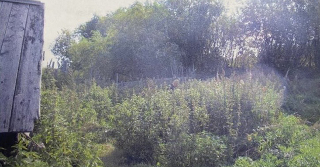 Перед судом за совершение трех убийств предстанет 62-летний мужчина