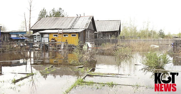 Обзор за неделю: вода и мусор в Котласе прибывают