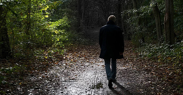 Медные трубы Андрея Бральнина